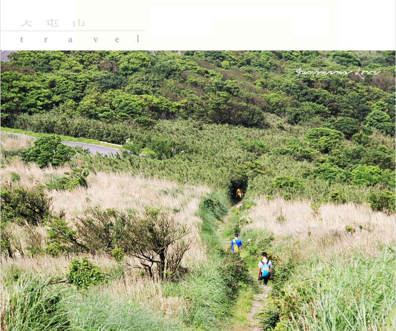 陽明山美麗的步道│大屯山主峰:連峰步道 - 第65張圖 陽明山美麗的步道│大屯山主峰:連峰步道