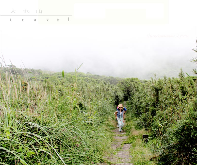 陽明山美麗的步道│大屯山主峰:連峰步道 - 第23張圖 陽明山美麗的步道│大屯山主峰:連峰步道