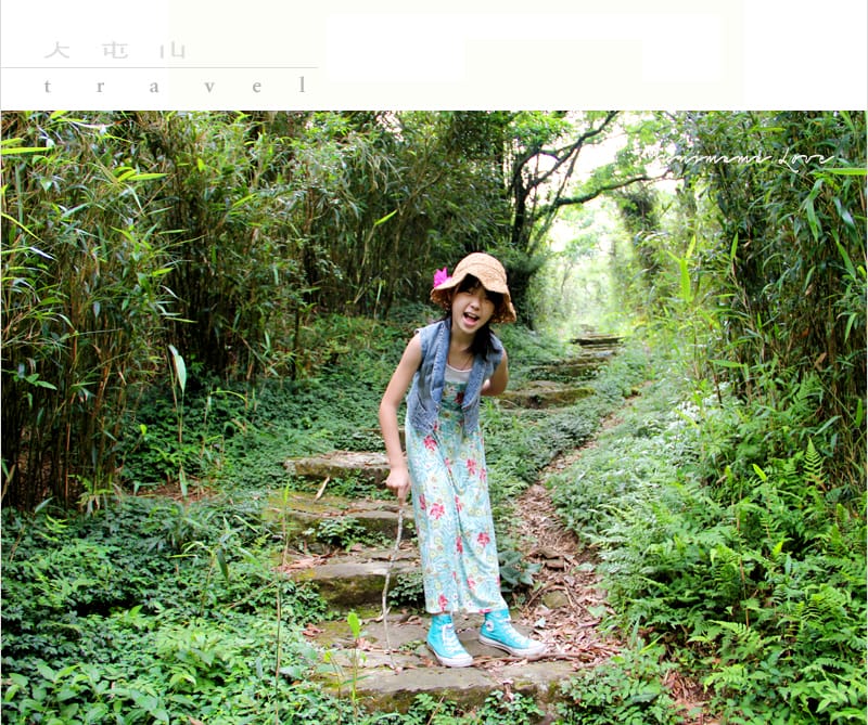 陽明山美麗的步道│大屯山主峰:連峰步道 - 第15張圖 陽明山美麗的步道│大屯山主峰:連峰步道