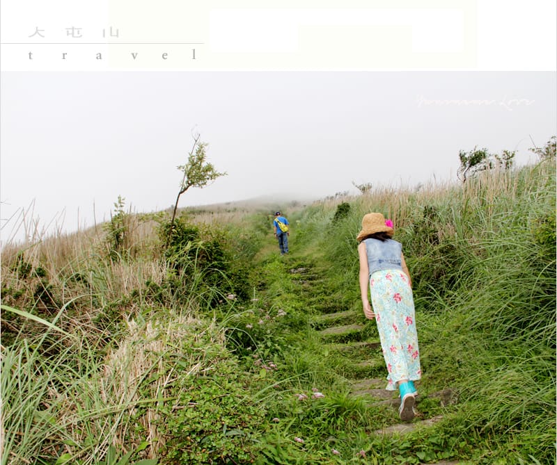 陽明山美麗的步道│大屯山主峰:連峰步道 - 第29張圖 陽明山美麗的步道│大屯山主峰:連峰步道