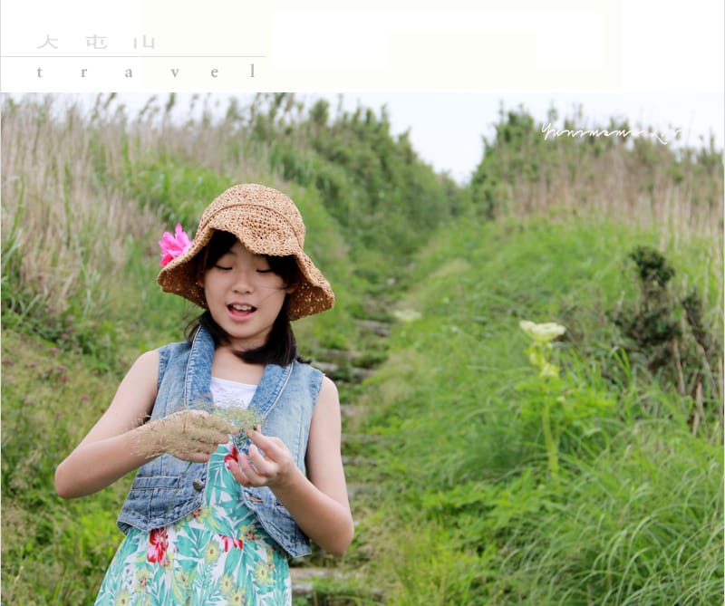 陽明山美麗的步道│大屯山主峰:連峰步道 - 第44張圖 陽明山美麗的步道│大屯山主峰:連峰步道