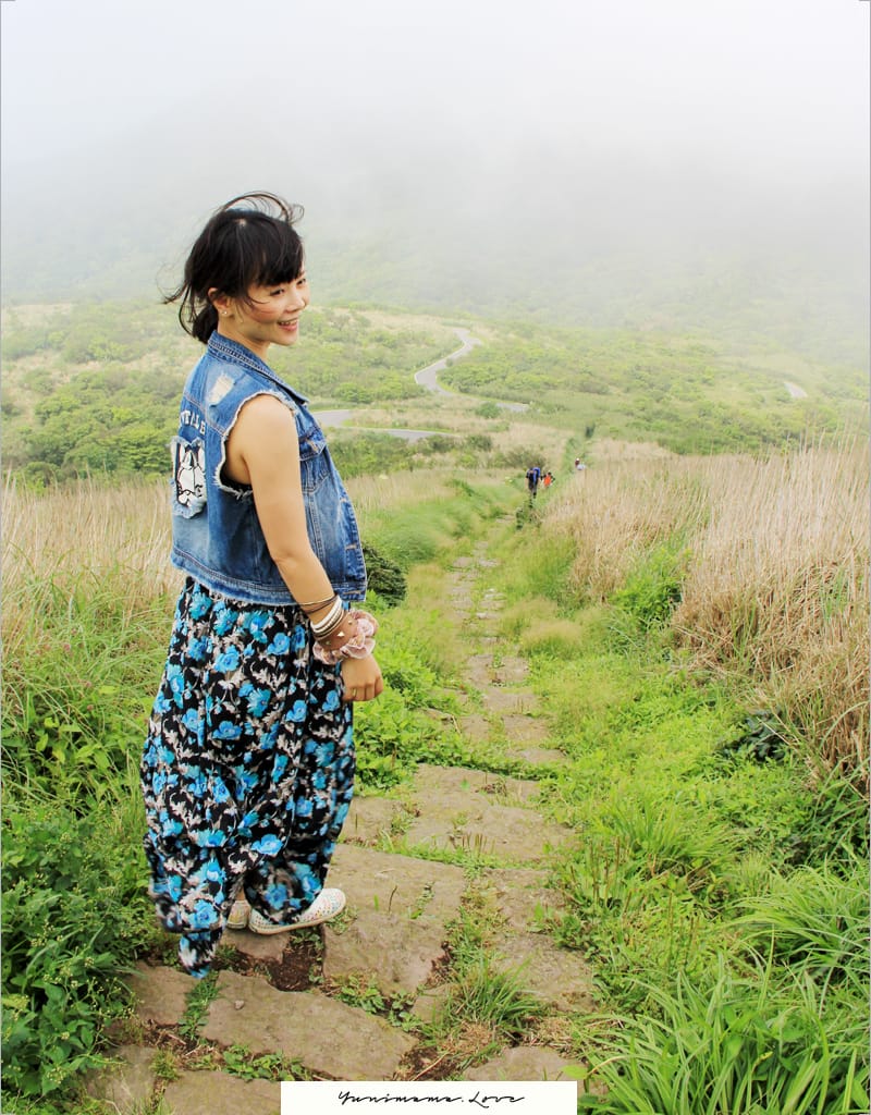 陽明山美麗的步道│大屯山主峰:連峰步道 - 第60張圖 陽明山美麗的步道│大屯山主峰:連峰步道