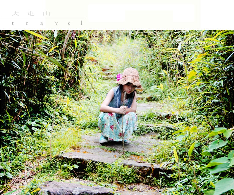 陽明山美麗的步道│大屯山主峰:連峰步道 - 第17張圖 陽明山美麗的步道│大屯山主峰:連峰步道