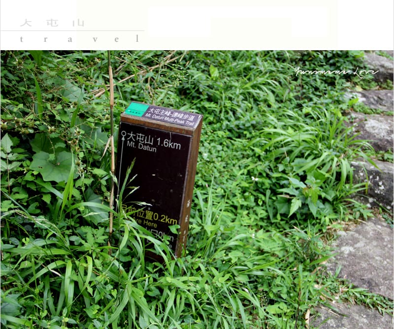陽明山美麗的步道│大屯山主峰:連峰步道 - 第19張圖 陽明山美麗的步道│大屯山主峰:連峰步道