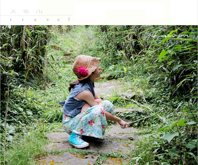 陽明山美麗的步道│大屯山主峰:連峰步道 - 第18張圖 陽明山美麗的步道│大屯山主峰:連峰步道
