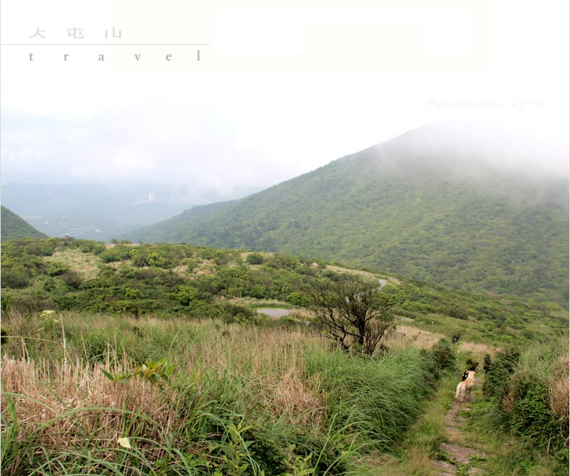 陽明山美麗的步道│大屯山主峰:連峰步道 - 第37張圖 陽明山美麗的步道│大屯山主峰:連峰步道