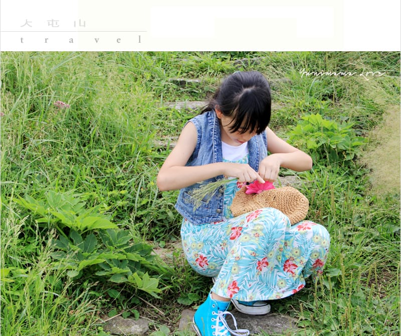 陽明山美麗的步道│大屯山主峰:連峰步道 - 第63張圖 陽明山美麗的步道│大屯山主峰:連峰步道