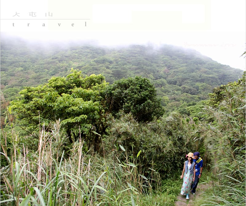陽明山美麗的步道│大屯山主峰:連峰步道 - 第11張圖 陽明山美麗的步道│大屯山主峰:連峰步道