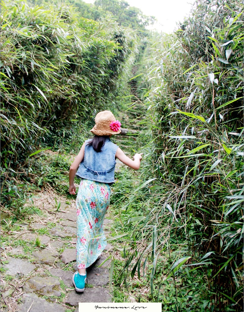 陽明山美麗的步道│大屯山主峰:連峰步道 - 第6張圖 陽明山美麗的步道│大屯山主峰:連峰步道