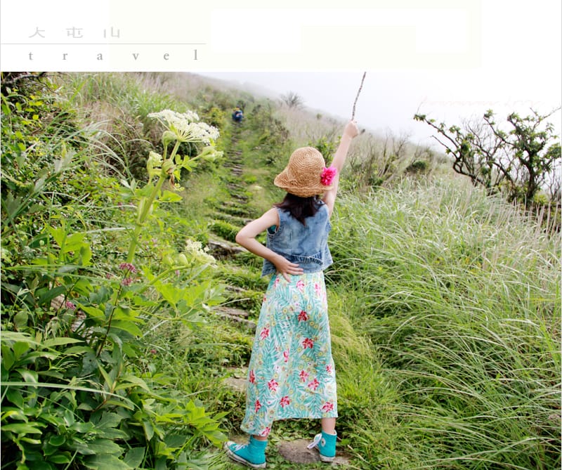 陽明山美麗的步道│大屯山主峰:連峰步道 - 第33張圖 陽明山美麗的步道│大屯山主峰:連峰步道