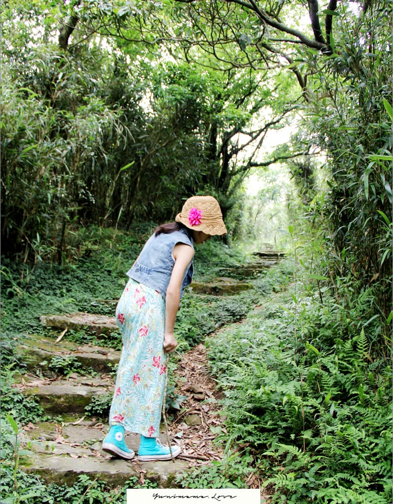 陽明山美麗的步道│大屯山主峰:連峰步道 - 第14張圖 陽明山美麗的步道│大屯山主峰:連峰步道
