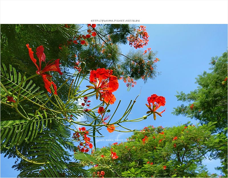 花蓮│雲山水:漂亮如畫的私人渡假聖地 - 第38張圖 花蓮│雲山水:漂亮如畫的私人渡假聖地