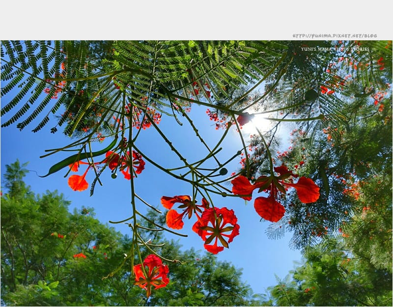 花蓮│雲山水:漂亮如畫的私人渡假聖地 - 第40張圖 花蓮│雲山水:漂亮如畫的私人渡假聖地