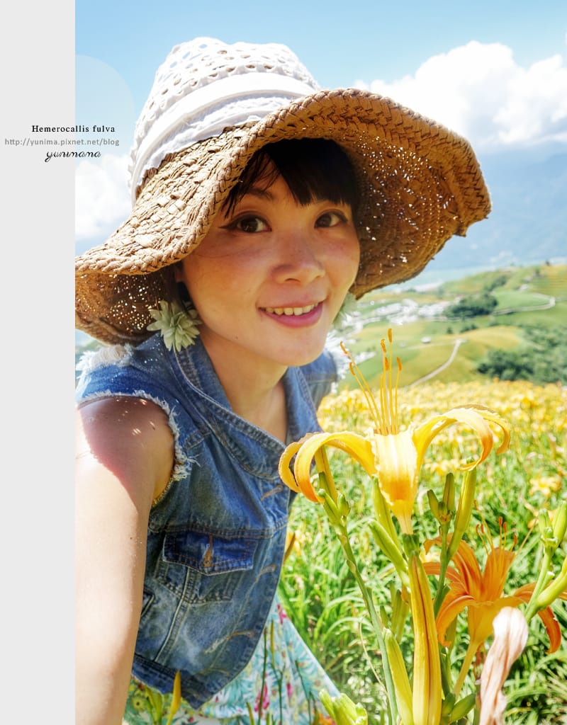 花蓮│金黃耀眼的六十石山:::迷人的金針花毯 - 第47張圖 花蓮│金黃耀眼的六十石山:::迷人的金針花毯