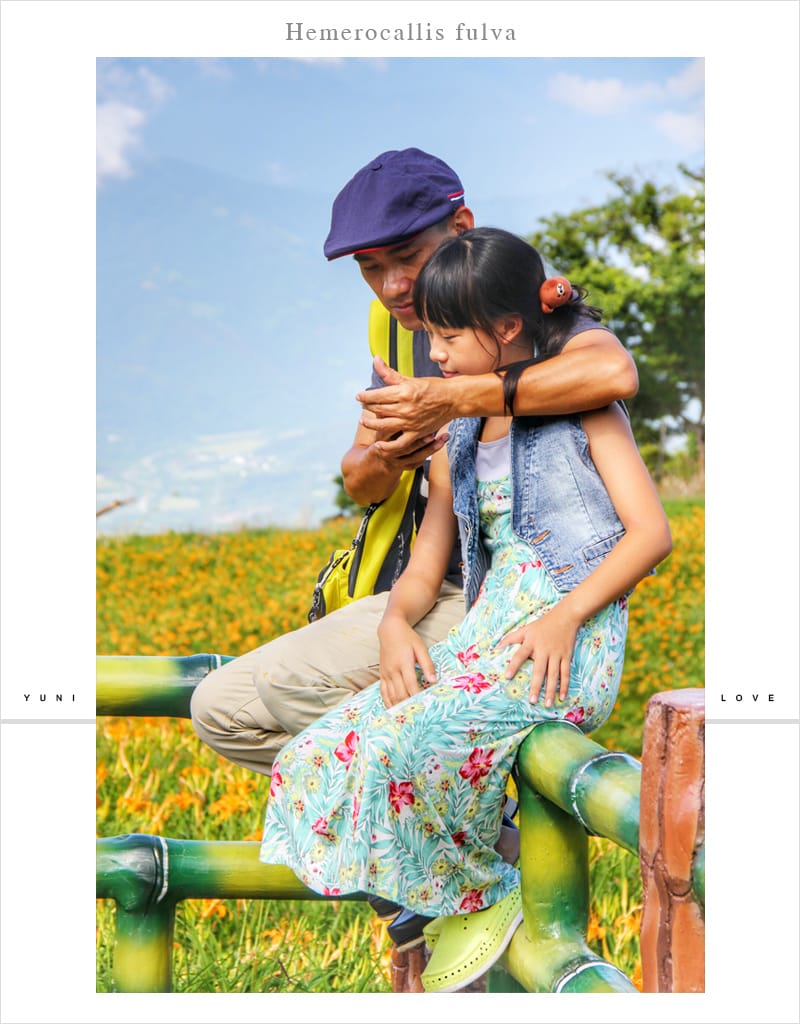 花蓮金針花│赤科山:::擁有美麗如畫的黃金花毯 - 第48張圖 花蓮金針花│赤科山:::擁有美麗如畫的黃金花毯