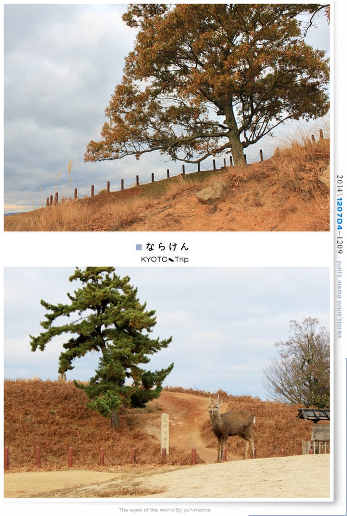 【婗媽看世界】京都:::若草山一重目.二重目.三重目.一覽無遺的豪邁景緻 - 第22張圖 【婗媽看世界】京都:::若草山一重目.二重目.三重目.一覽無遺的豪邁景緻