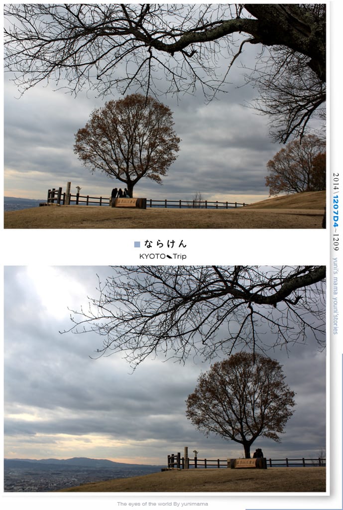 【婗媽看世界】京都:::若草山一重目.二重目.三重目.一覽無遺的豪邁景緻 - 第26張圖 【婗媽看世界】京都:::若草山一重目.二重目.三重目.一覽無遺的豪邁景緻