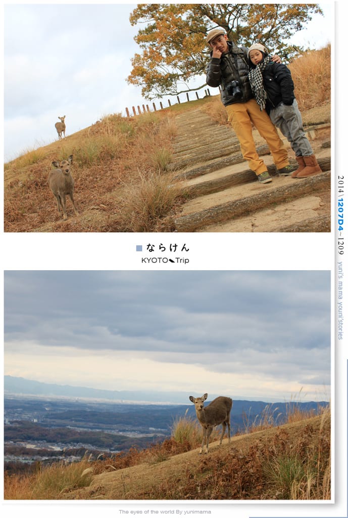 【婗媽看世界】京都:::若草山一重目.二重目.三重目.一覽無遺的豪邁景緻 - 第21張圖 【婗媽看世界】京都:::若草山一重目.二重目.三重目.一覽無遺的豪邁景緻