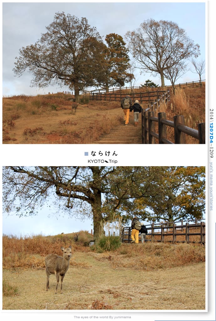 【婗媽看世界】京都:::若草山一重目.二重目.三重目.一覽無遺的豪邁景緻 - 第19張圖 【婗媽看世界】京都:::若草山一重目.二重目.三重目.一覽無遺的豪邁景緻
