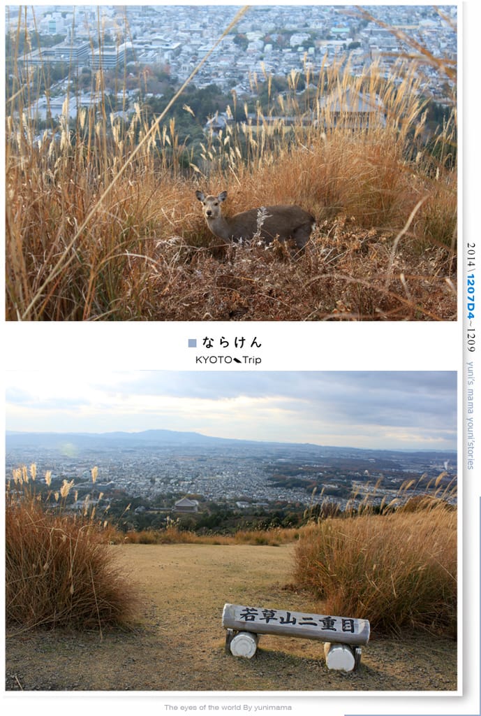 【婗媽看世界】京都:::若草山一重目.二重目.三重目.一覽無遺的豪邁景緻 - 第13張圖 【婗媽看世界】京都:::若草山一重目.二重目.三重目.一覽無遺的豪邁景緻