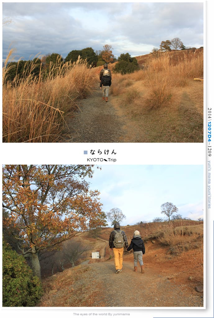 【婗媽看世界】京都:::若草山一重目.二重目.三重目.一覽無遺的豪邁景緻 - 第20張圖 【婗媽看世界】京都:::若草山一重目.二重目.三重目.一覽無遺的豪邁景緻