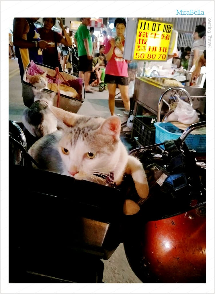 【墾丁民宿】米拉貝拉給我希臘地中海風的渡假風情..鄰近阿嘉的家&波波廚房..安靜悠閒的地理位置還不錯!