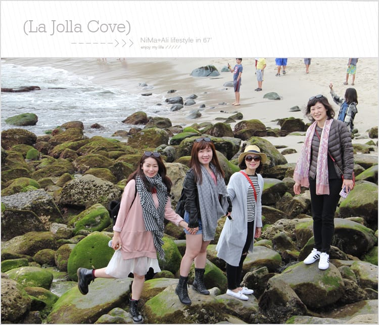 【婗媽看世界】美國加州:::聖地牙哥La Jolla Cove 拉荷亞灣與野生海獅相見歡 - 第28張圖 【婗媽看世界】美國加州:::聖地牙哥La Jolla Cove 拉荷亞灣與野生海獅相見歡