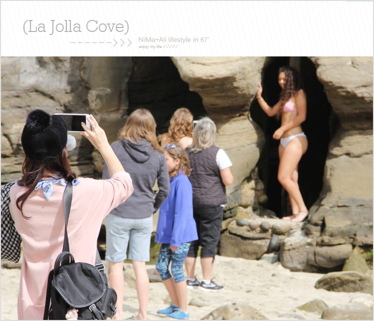 【婗媽看世界】美國加州:::聖地牙哥La Jolla Cove 拉荷亞灣與野生海獅相見歡 - 第35張圖 【婗媽看世界】美國加州:::聖地牙哥La Jolla Cove 拉荷亞灣與野生海獅相見歡
