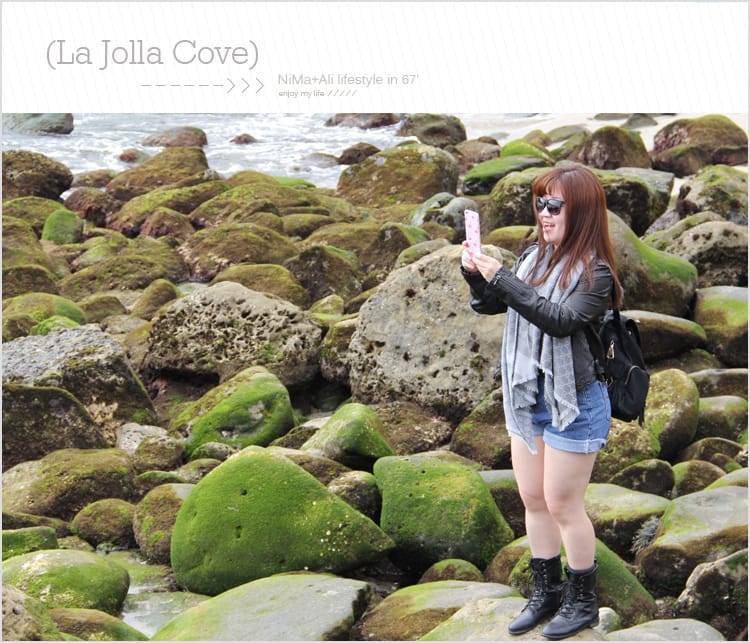【婗媽看世界】美國加州:::聖地牙哥La Jolla Cove 拉荷亞灣與野生海獅相見歡 - 第27張圖 【婗媽看世界】美國加州:::聖地牙哥La Jolla Cove 拉荷亞灣與野生海獅相見歡