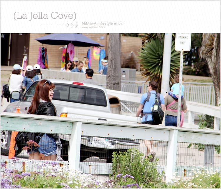 【婗媽看世界】美國加州:::聖地牙哥La Jolla Cove 拉荷亞灣與野生海獅相見歡 - 第50張圖 【婗媽看世界】美國加州:::聖地牙哥La Jolla Cove 拉荷亞灣與野生海獅相見歡
