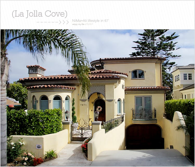 【婗媽看世界】美國加州:::聖地牙哥La Jolla Cove 拉荷亞灣與野生海獅相見歡 - 第3張圖 【婗媽看世界】美國加州:::聖地牙哥La Jolla Cove 拉荷亞灣與野生海獅相見歡