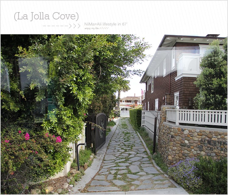 【婗媽看世界】美國加州:::聖地牙哥La Jolla Cove 拉荷亞灣與野生海獅相見歡 - 第7張圖 【婗媽看世界】美國加州:::聖地牙哥La Jolla Cove 拉荷亞灣與野生海獅相見歡