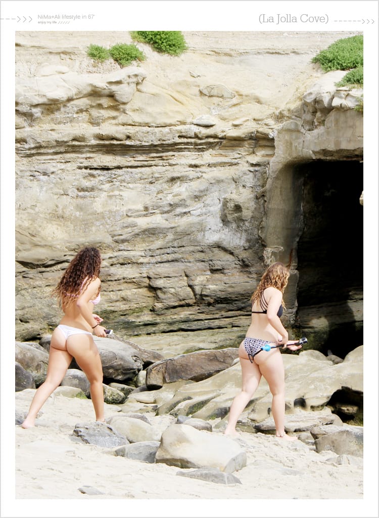 【婗媽看世界】美國加州:::聖地牙哥La Jolla Cove 拉荷亞灣與野生海獅相見歡 - 第34張圖 【婗媽看世界】美國加州:::聖地牙哥La Jolla Cove 拉荷亞灣與野生海獅相見歡