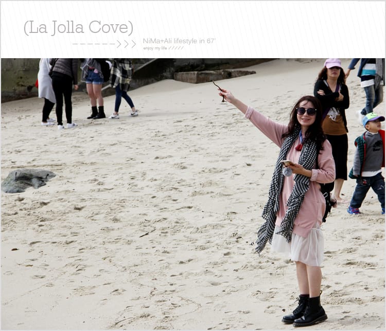 【婗媽看世界】美國加州:::聖地牙哥La Jolla Cove 拉荷亞灣與野生海獅相見歡 - 第22張圖 【婗媽看世界】美國加州:::聖地牙哥La Jolla Cove 拉荷亞灣與野生海獅相見歡