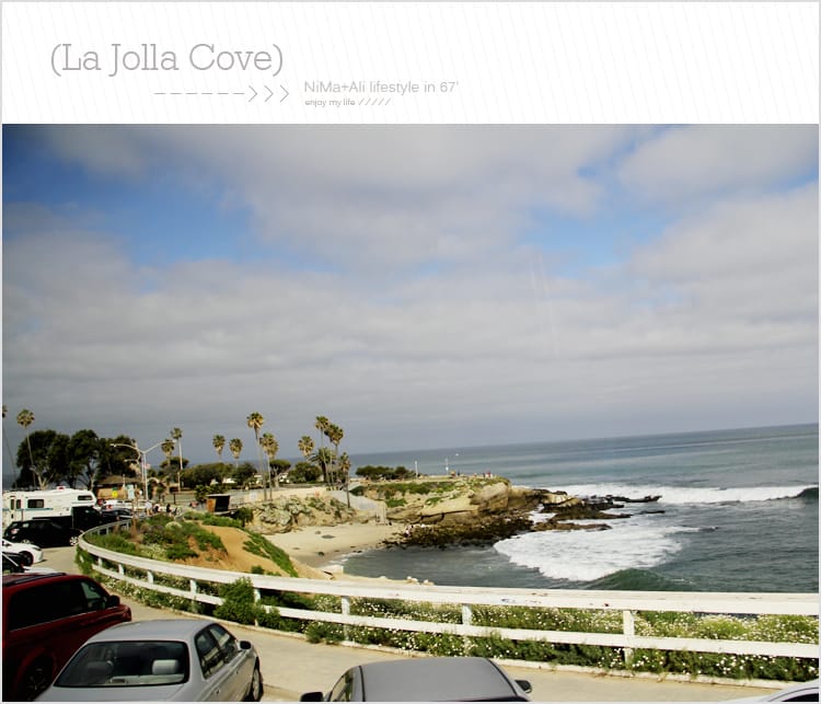 【婗媽看世界】美國加州:::聖地牙哥La Jolla Cove 拉荷亞灣與野生海獅相見歡 - 第10張圖 【婗媽看世界】美國加州:::聖地牙哥La Jolla Cove 拉荷亞灣與野生海獅相見歡