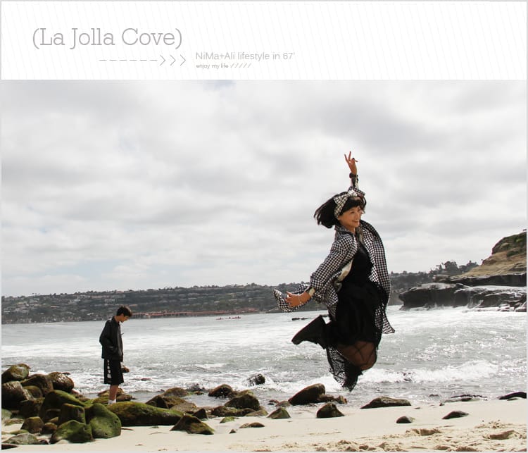 【婗媽看世界】美國加州:::聖地牙哥La Jolla Cove 拉荷亞灣與野生海獅相見歡 - 第33張圖 【婗媽看世界】美國加州:::聖地牙哥La Jolla Cove 拉荷亞灣與野生海獅相見歡