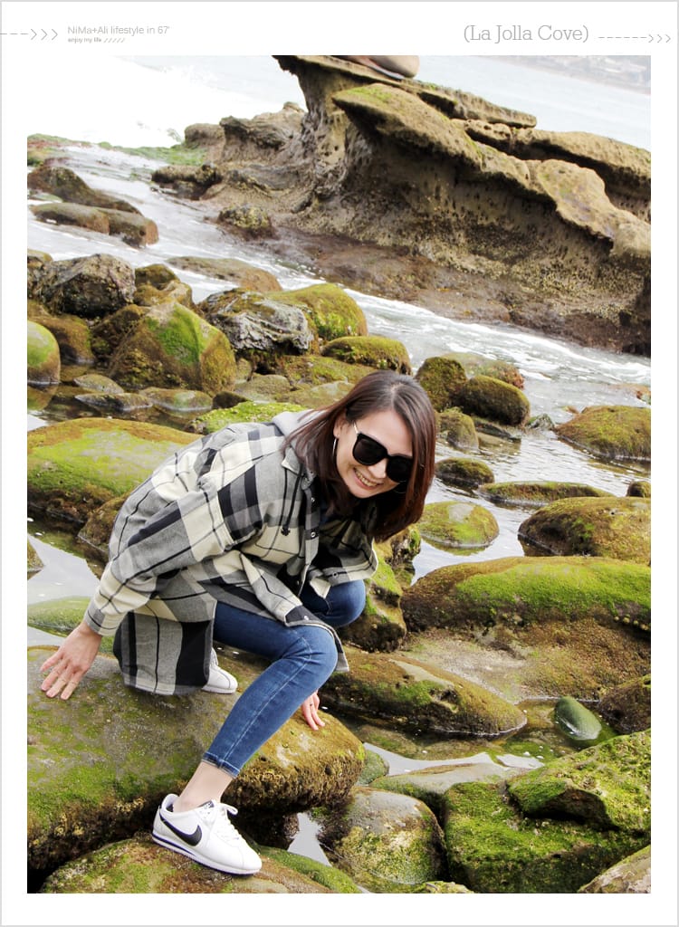 【婗媽看世界】美國加州:::聖地牙哥La Jolla Cove 拉荷亞灣與野生海獅相見歡 - 第31張圖 【婗媽看世界】美國加州:::聖地牙哥La Jolla Cove 拉荷亞灣與野生海獅相見歡