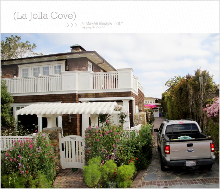 【婗媽看世界】美國加州:::聖地牙哥La Jolla Cove 拉荷亞灣與野生海獅相見歡 - 第6張圖 【婗媽看世界】美國加州:::聖地牙哥La Jolla Cove 拉荷亞灣與野生海獅相見歡