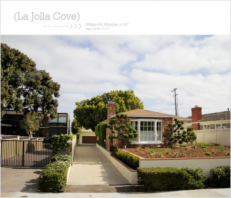【婗媽看世界】美國加州:::聖地牙哥La Jolla Cove 拉荷亞灣與野生海獅相見歡 - 第5張圖 【婗媽看世界】美國加州:::聖地牙哥La Jolla Cove 拉荷亞灣與野生海獅相見歡