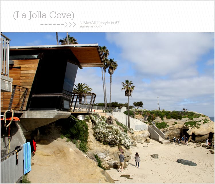 【婗媽看世界】美國加州:::聖地牙哥La Jolla Cove 拉荷亞灣與野生海獅相見歡 - 第14張圖 【婗媽看世界】美國加州:::聖地牙哥La Jolla Cove 拉荷亞灣與野生海獅相見歡