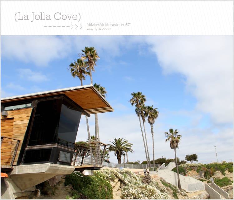 【婗媽看世界】美國加州:::聖地牙哥La Jolla Cove 拉荷亞灣與野生海獅相見歡 - 第16張圖 【婗媽看世界】美國加州:::聖地牙哥La Jolla Cove 拉荷亞灣與野生海獅相見歡