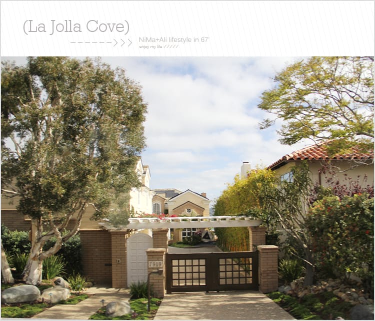 【婗媽看世界】美國加州:::聖地牙哥La Jolla Cove 拉荷亞灣與野生海獅相見歡 - 第4張圖 【婗媽看世界】美國加州:::聖地牙哥La Jolla Cove 拉荷亞灣與野生海獅相見歡