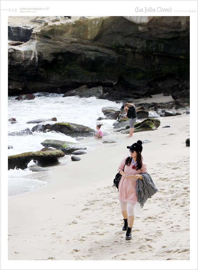 【婗媽看世界】美國加州:::聖地牙哥La Jolla Cove 拉荷亞灣與野生海獅相見歡 - 第37張圖 【婗媽看世界】美國加州:::聖地牙哥La Jolla Cove 拉荷亞灣與野生海獅相見歡