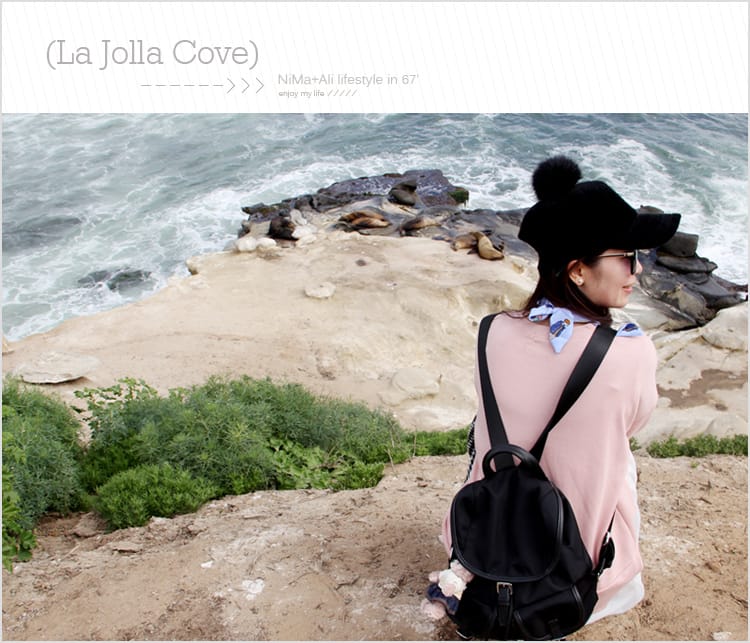 【婗媽看世界】美國加州:::聖地牙哥La Jolla Cove 拉荷亞灣與野生海獅相見歡 - 第49張圖 【婗媽看世界】美國加州:::聖地牙哥La Jolla Cove 拉荷亞灣與野生海獅相見歡