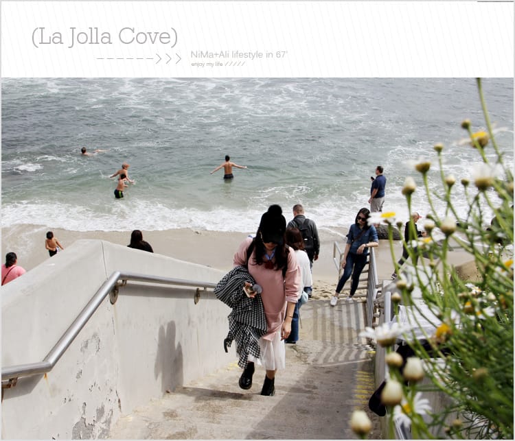 【婗媽看世界】美國加州:::聖地牙哥La Jolla Cove 拉荷亞灣與野生海獅相見歡 - 第38張圖 【婗媽看世界】美國加州:::聖地牙哥La Jolla Cove 拉荷亞灣與野生海獅相見歡
