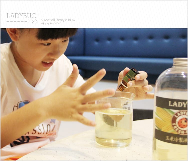 【皂基DIY】LADYBUG天然無毒環保清潔液:::液體皂基DIY屬於自己的香氣 - 第13張圖 【皂基DIY】LADYBUG天然無毒環保清潔液:::液體皂基DIY屬於自己的香氣