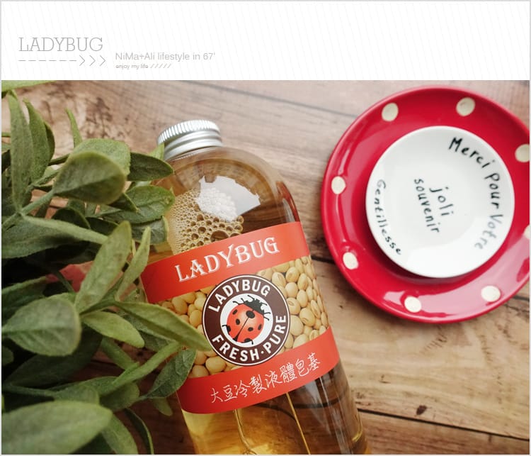 【皂基DIY】LADYBUG天然無毒環保清潔液:::液體皂基DIY屬於自己的香氣 - 第30張圖 【皂基DIY】LADYBUG天然無毒環保清潔液:::液體皂基DIY屬於自己的香氣