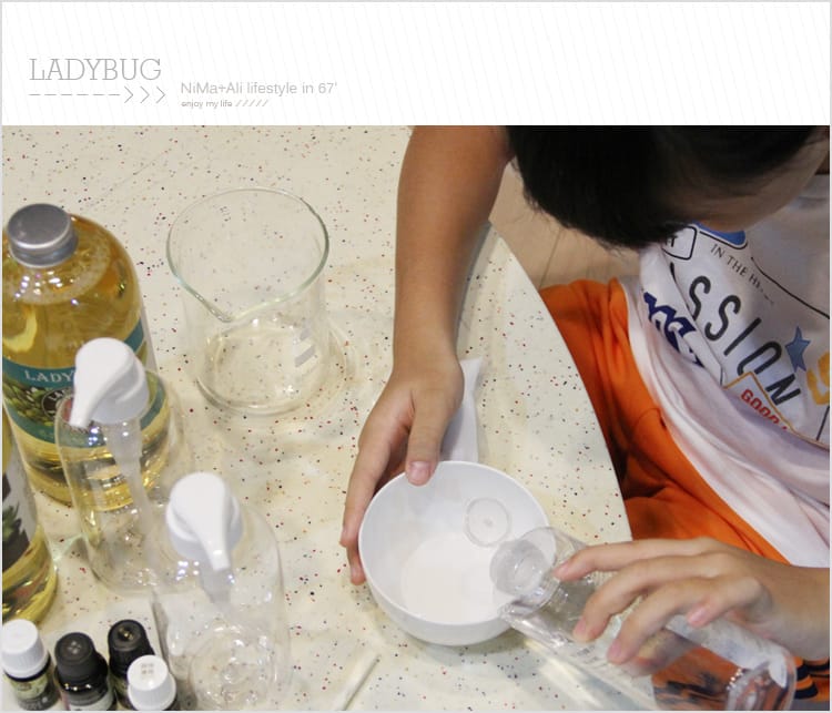 【皂基DIY】LADYBUG天然無毒環保清潔液:::液體皂基DIY屬於自己的香氣 - 第9張圖 【皂基DIY】LADYBUG天然無毒環保清潔液:::液體皂基DIY屬於自己的香氣