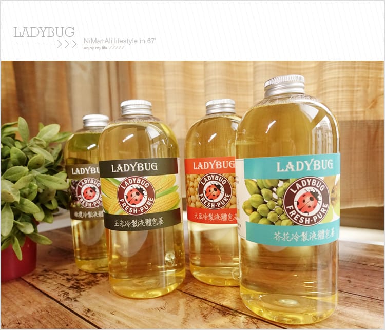 【皂基DIY】LADYBUG天然無毒環保清潔液:::液體皂基DIY屬於自己的香氣 - 第2張圖 【皂基DIY】LADYBUG天然無毒環保清潔液:::液體皂基DIY屬於自己的香氣