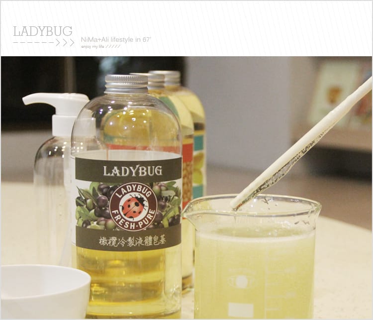 【皂基DIY】LADYBUG天然無毒環保清潔液:::液體皂基DIY屬於自己的香氣 - 第27張圖 【皂基DIY】LADYBUG天然無毒環保清潔液:::液體皂基DIY屬於自己的香氣